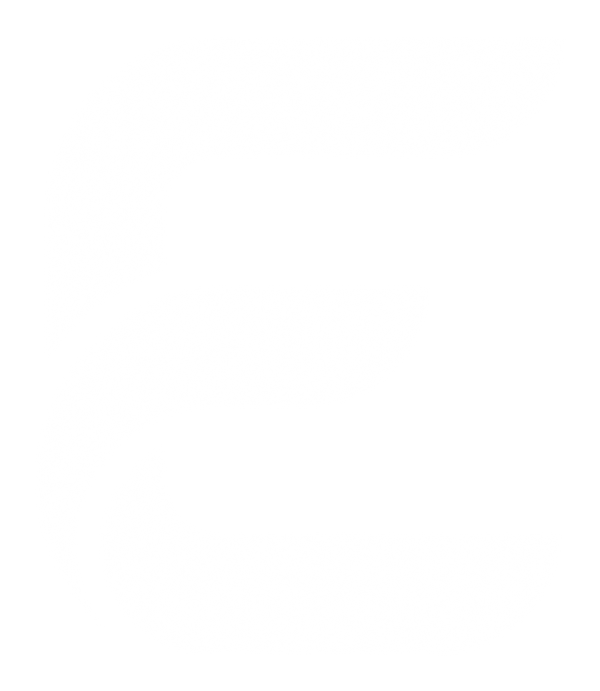 Elyndra